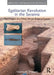 Egalitarian Revolution in the Savanna: The Origins of a West African Political System by Stephen A. Dueppen