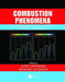 Combustion Phenomena: Selected Mechanisms of Flame Formation, Propagation and Extinction by Bernard Veyssiere