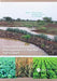 Integrated Watershed Management in Rainfed Agriculture by Suhas P. Wani