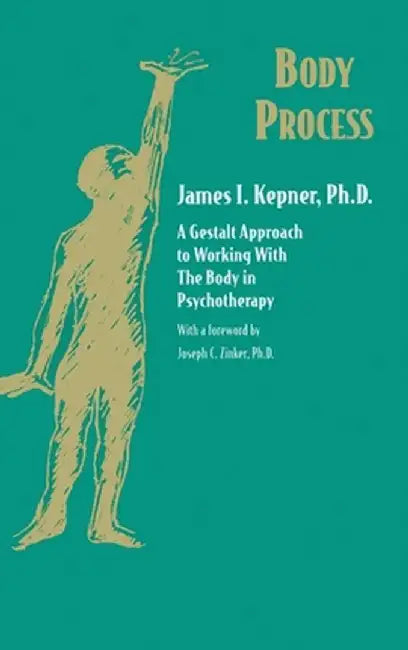 Body Process: A Gestalt Approach to Working with the Body in Psychotherapy by James I. Kepner