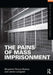 The Pains of Mass Imprisonment by Benjamin Fleury-Steiner