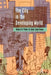 The City in the Developing World by Robert B. Potter