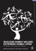 Nuclear Family Values, Extended Family Lives: The Power of Race, Class, and Gender by Natalia Sarkisian