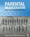 Parental Incarceration: Personal Accounts and Developmental Impact by Denise Johnston