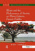 Music and the Performance of Identity on Marie-Galante, French Antilles. Ron Emoff by Ron Emoff