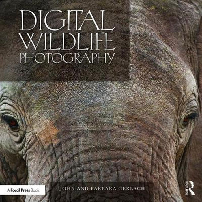 Digital Wildlife Photography by John and Barbara Gerlach