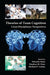 Theories of Team Cognition: Cross-Disciplinary Perspectives by Eduardo Salas