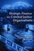 Strategic Finance for Criminal Justice Organizations by Daniel Adrian Doss