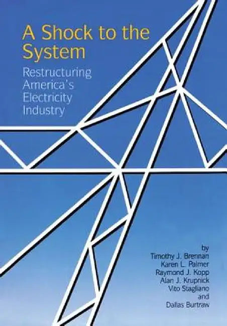 A Shock to the System: Restructuring America's Electricity Industry by Timothy J. Brennan