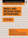 Small and Medium Sized Enterprises by Kenneth Dyson