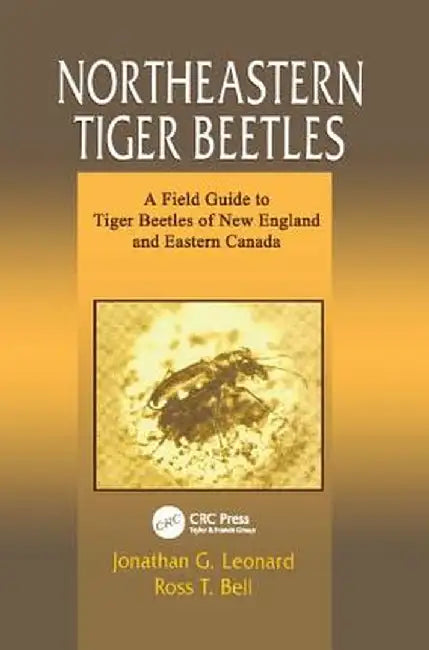 Northeastern Tiger Beetles: A Field Guide to Tiger Beetles of New England and Eastern Canada by Jonathan G. Leonard