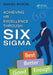 Achieving HR Excellence Through Six SIGMA by Daniel Bloom