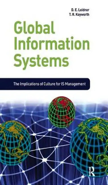Global Information Systems by Dorothy E Leidner