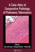 A Color Atlas of Comparative Pathology of Pulmonary Tuberculosis by Franz Joel Leong
