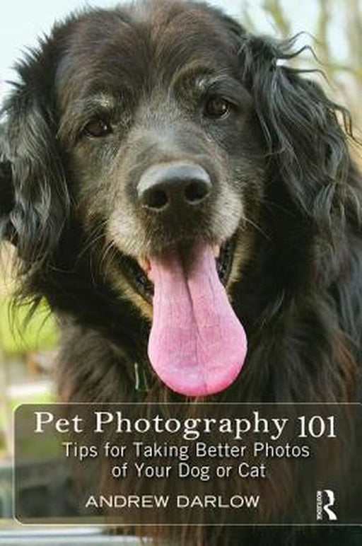 Pet Photography 101: Tips for Taking Better Photos of Your Dog or Cat by Andrew Darlow