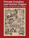 Primate Evolution and Human Origins by Russell L. Ciochon