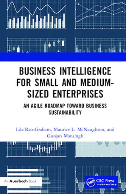 Business Intelligence for Small and Medium-Sized Enterprises: An Agile Roadmap Toward Business Sustainability by Lila Rao-Graham