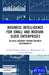 Business Intelligence for Small and Medium-Sized Enterprises: An Agile Roadmap Toward Business Sustainability by Lila Rao-Graham