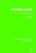 The Small Firm: An International Survey by David J. Storey