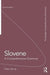 Slovene: A Comprehensive Grammar by Peter Herrity