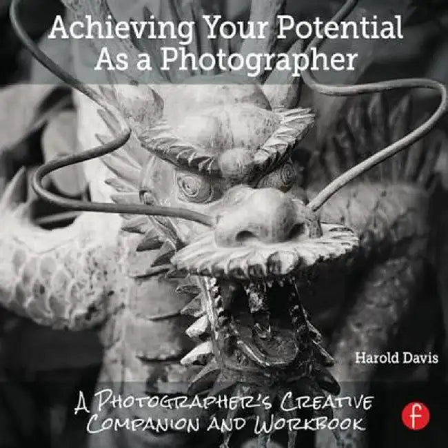 Achieving Your Potential as a Photographer: A Creative Companion and Workbook by Harold Davis