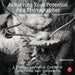 Achieving Your Potential as a Photographer: A Creative Companion and Workbook by Harold Davis