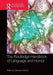 The Routledge Handbook of Language and Humor by Salvatore Attardo