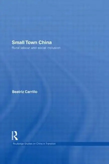 Small Town China: Rural Labour and Social Inclusion by Beatriz Carrillo Garcia