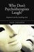 Why Don't Psychotherapists Laugh?: Enjoyment and the Consulting Room by Ann Shearer