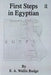 First Steps in Egyptian by E.A. Wallis Budge