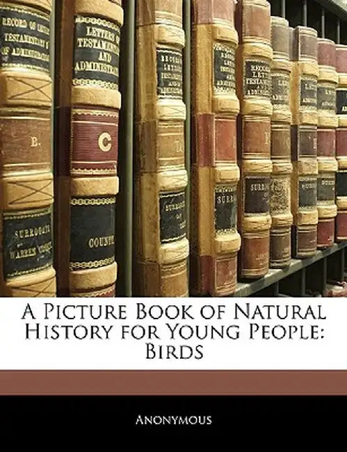 A Picture Book of Natural History for Young People: Birds by Anonymous