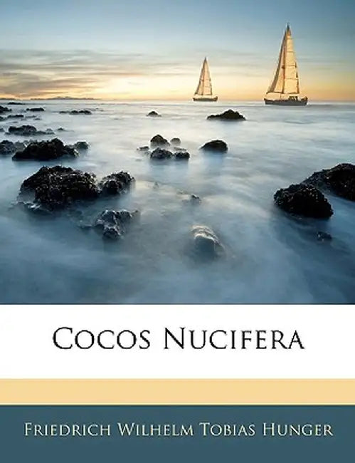 Cocos Nucifera by Friedrich Wilhelm Tobias Hunger