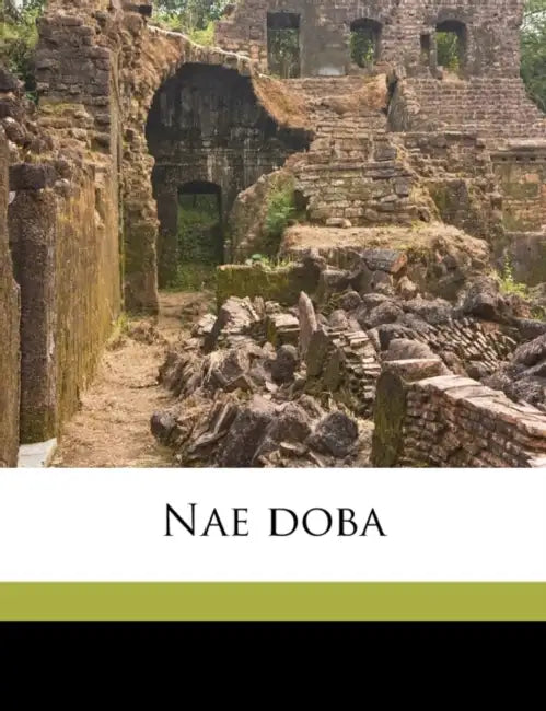 Nae doba; Volume 22 by Anonymous