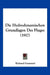 Die Hydrodynamischen Grundlagen Des Fluges (1917) by Richard Grammel