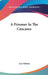 A Prisoner In The Caucasus by Leo Tolstoy