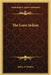 The Lone Indian by James A. Braden