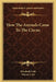 How The Animals Came To The Circus by Elizabeth Gale, Warner Carr