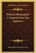 What Is Theosophy? A General View For Inquirers by Theosophical University Press