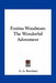 Fostina Woodman: The Wonderful Adventurer by A. A. Burnham