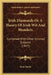 Irish Diamonds Or A Theory Of Irish Wit And Blunders: Combined With Other Kindred Subjects (1847) by John Smith