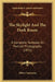 The Skylight And The Dark Room: A Complete Textbook On Portrait Photography (1872) by Elbert Anderson