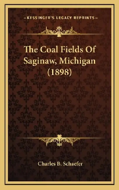 The Coal Fields Of Saginaw, Michigan (1898) by Charles B. Schaefer
