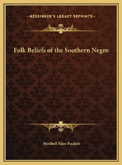 Folk Beliefs of the Southern Negro by Newbell Niles Puckett