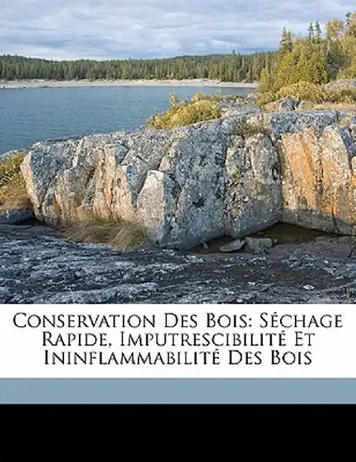 Conservation Des Bois: Sechage Rapide, Imputrescibilite Et Ininflammabilite Des Bois by Paul Dumesny