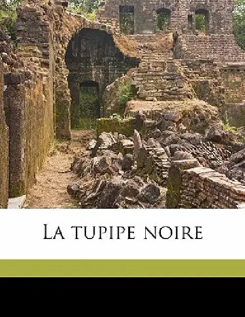 La Tupipe Noire by Alexandre Dumas