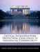 Critical Infrastructure Protection: Challenges in Addressing Cybersecurity by United States Government Accountability