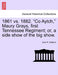 1861 vs. 1882. Co Aytch, Maury Grays, First Tennessee Regiment; Or, a Side Show of the Big Show. by Sam R. Watkins