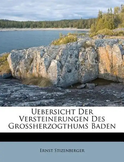 Uebersicht Der Versteinerungen Des Grossherzogthums Baden by Ernst Stizenberger
