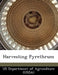 Harvesting Pyrethrum by Us Department of Agriculture (Usda)