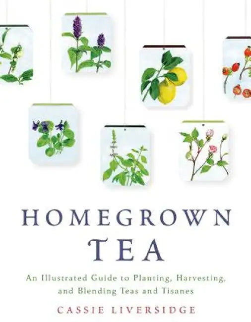 Homegrown Tea: An Illustrated Guide to Planting, Harvesting, and Blending Teas and Tisanes by Cassie Liversidge